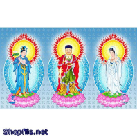 Hình Phật Tây Phương Tam Thánh Chất Lượng Cao